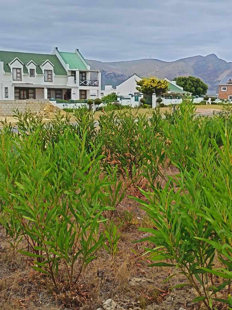 0 Bedroom Property for Sale in Fisherhaven Western Cape